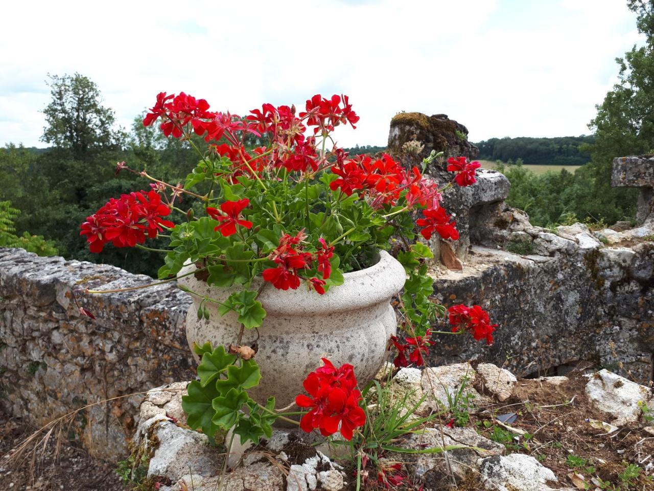 Villa Du Cerf Thibault Le Blanc Buitenkant foto